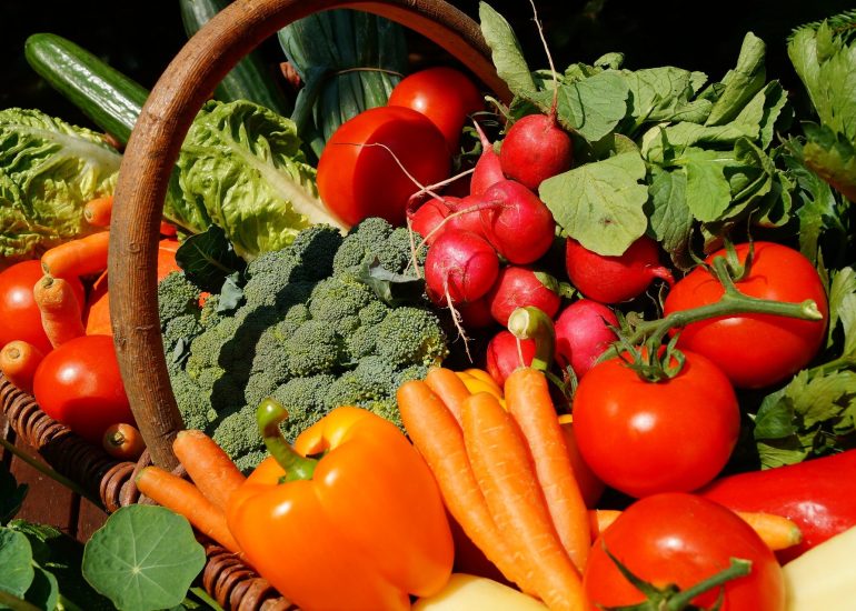 Garten La Goutte D'Aude