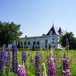 © Jardins de la Bâtie d'Urfé - Office de Tourisme Loire Forez