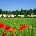 © Jardins de la Bâtie d'Urfé - Office de Tourisme Loire Forez