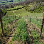 die Madonna - kleiner Wanderweg