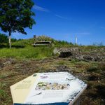 © Le Puy de Chavanne - Les Orgues basaltiques - OT Loire Forez