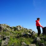 © Le Puy de Chavanne - Les Orgues basaltiques - OT Loire Forez