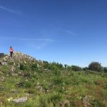 © Le Puy de Chavanne - Les Orgues basaltiques - OT Loire Forez