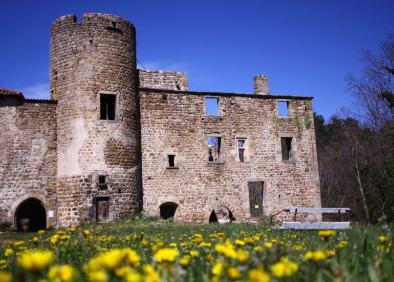 © Schloss von Rousset - Chateau du Rousset