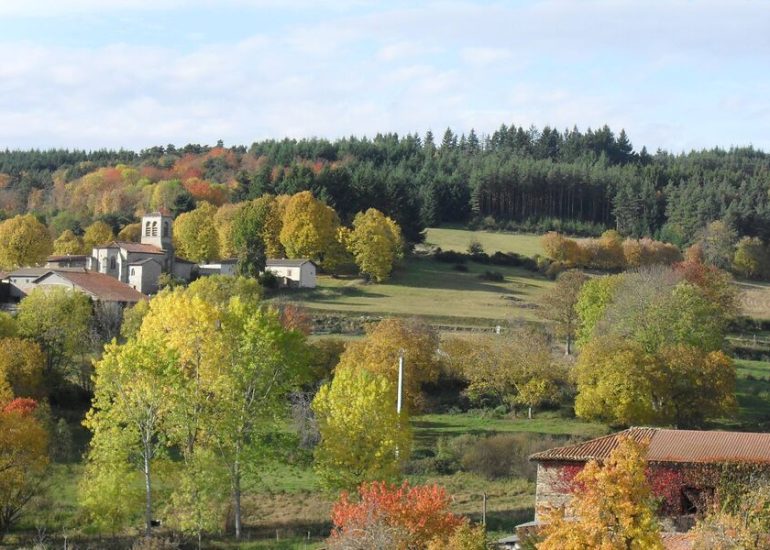 © Marche  des châtaignes - Yvan Perreton