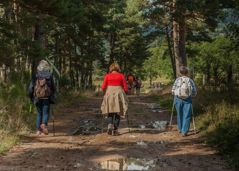 © Téléthon - Pixbay®