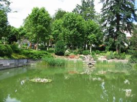 Etang du jardin public