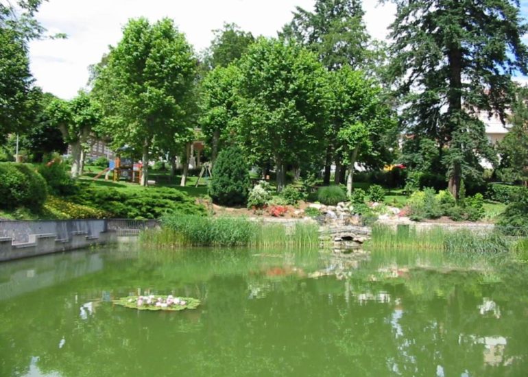 © Etang du jardin public - OT MM