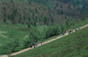 Marche des Ollagnes