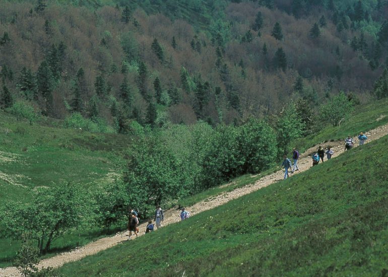 © Marche des Ollagnes - Office de tourisme Loire Forez