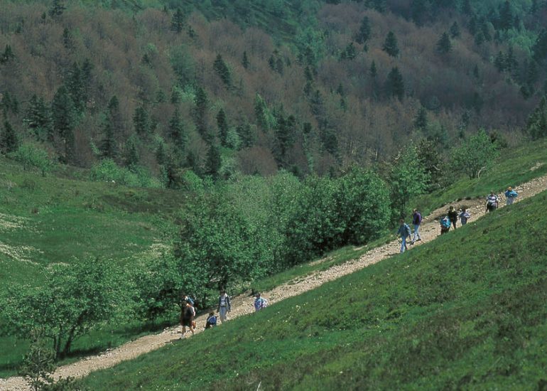 © Marche des Ollagnes - Office de tourisme Loire Forez