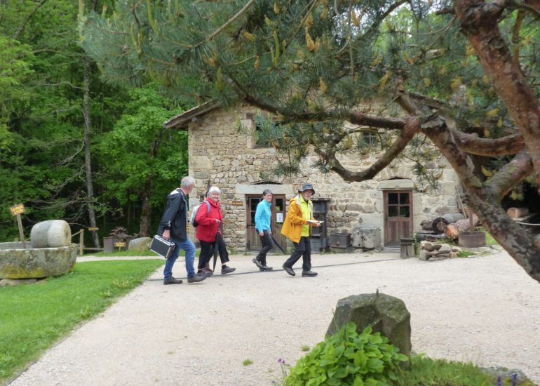 © Enquête au Moulin des Massons : le trésor du moulin - Moulin des Massons