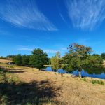 © Etang de la Tuilerie - OT FOREZ-EST