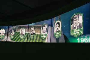 Musée des Verts
