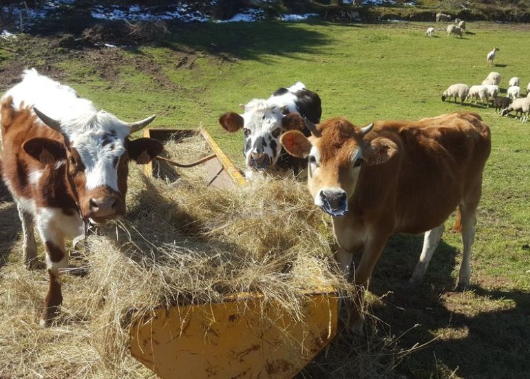 La petite ferme