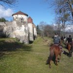 © Horse riding centre - Caval'Tour Forez - Caval' Tour