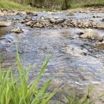 © Camping - Le Moulin Brulé - Eric Beauvois
