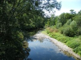 Bords de Loire - Espace naturel des Lonzes