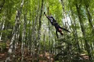 Grimpe d'arbres