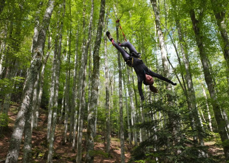 Grimpe d'arbres