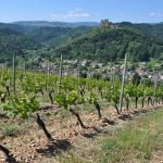 © Agamy - Cave des Vignerons Foréziens - Agamy - Cave de Trelins