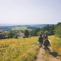 Instant présent équitation et équicoaching