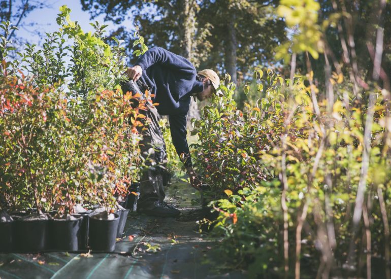 Alti Pep - pépinière d'altitude bio en permaculture