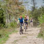 © N°64 - Le Haut Forez - Espace VTT-FFC Massif des Bois Noirs - Arnaud Hauteroche