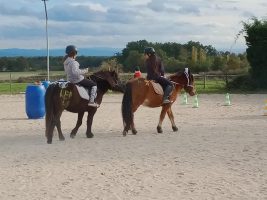 Randonnées à cheval - Les chevaux de la plaine