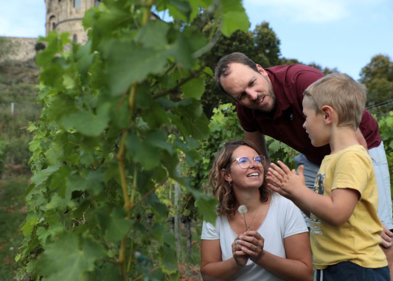 © Dans les vignes - Hubert Genouilhac