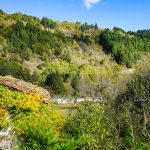 © GR®89 Chemin de Montaigne Etape 4 - Débats Rivière d'Orpra - St Didier sur Rochefort - OT Loire Forez