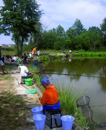 © Pêche en étang - Fédération de pêche de la Loire