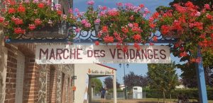 33ème marche des vendanges