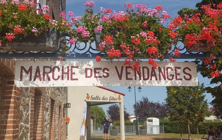 © 33ème marche des vendanges - Familles rurales