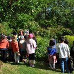 © Jardin des plantes à couleurs - Jardin des plantes à couleurs