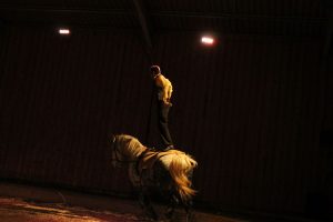 Les arts du cirque