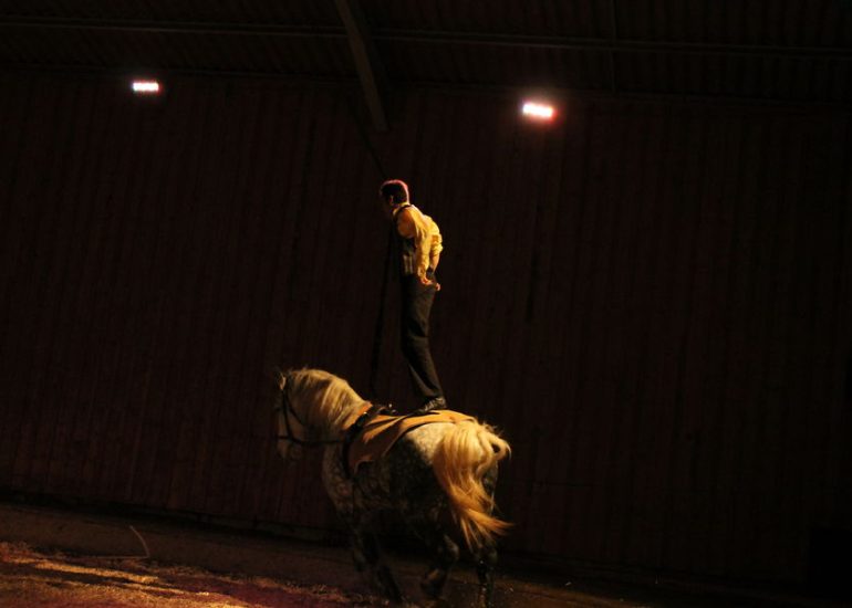 © Spectacle équestre - Ecole de cirque Le Cabrioleur