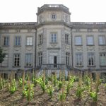 © Château de Boën - Musée des vignerons du Forez - Château de Boën - Musée des vignerons du Forez