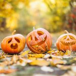© Viens faire tes décorations d’Halloween au moulin - Pixabay