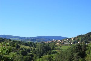 Chemin de St-Martin - n°17