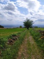 Parcours 40 - KMV de Bard Lérigneux