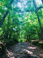 Monts du Lyonnais landscape trail: western loop