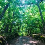 © Boucle ouest du sentier des Paysages des Monts du Lyonnais - OT Forez-Est - CP