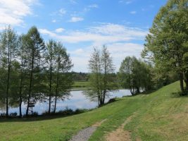 Chazelles-sur-Lyon / Saint-Symphorien-sur-Coise footpath via Hurongues