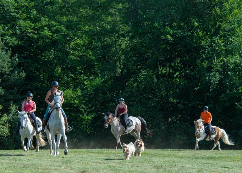 © Balades et randonnées à cheval - Agathe Courtois