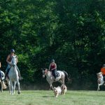 © Balades et randonnées à cheval - Agathe Courtois