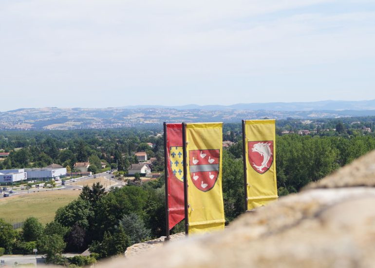 © Vue sur la plaine du Forez, du château - Office de tourisme