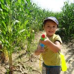 © Ferme des delices foreziens, labyrinthe de mais 2020, jeux de piste, enigme, famille, amis, jeux gonflables,pistolet à eau st cyr les vignes, Loire-Forez, 42 - FERME DES DELICES FOREZIENS