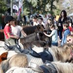 © Animations sur le Pôle tourisme - Comice agricole - Hubert Genouilhac