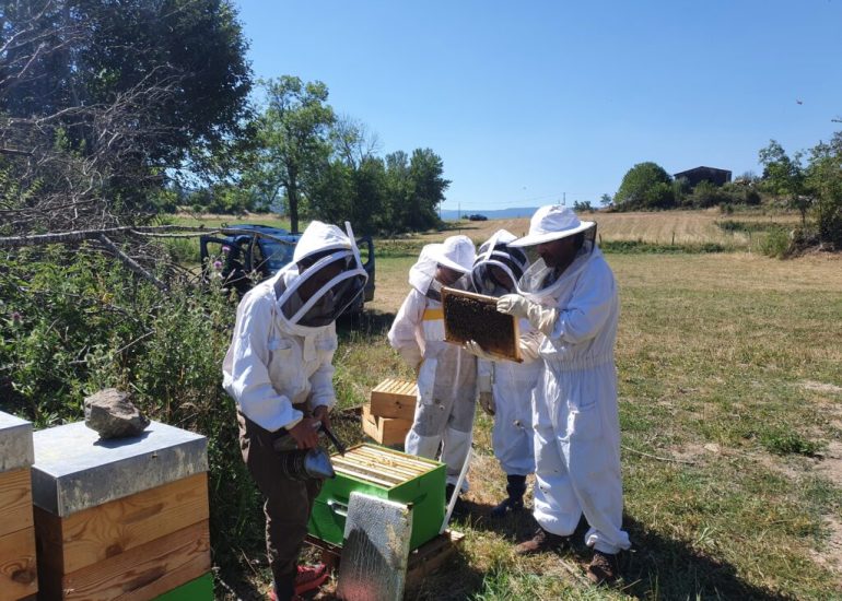 Ateliers autour de l'apiculture